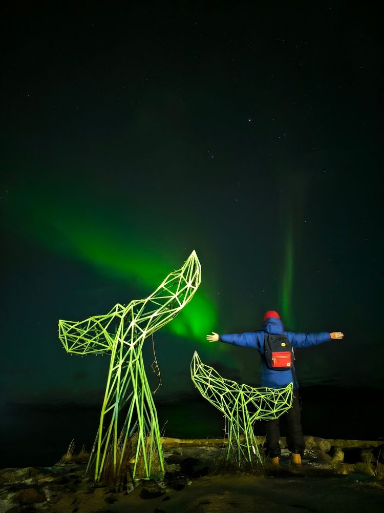 Photograph by Михайленко Людмила