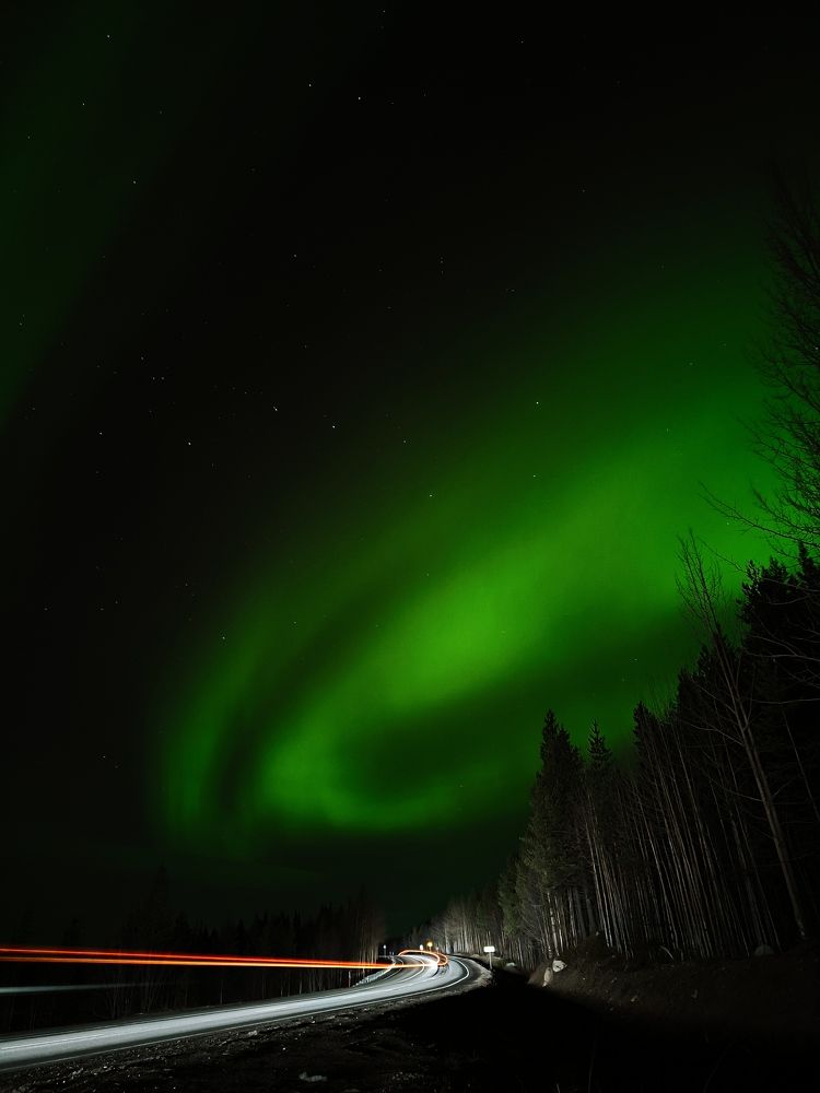 Photograph by Михайленко Людмила