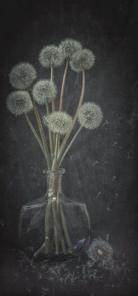 Photograph by Наталья Лищинская