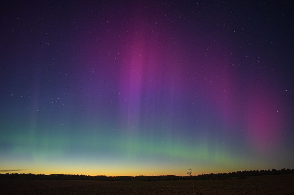 Photograph by Виталий Грачёв