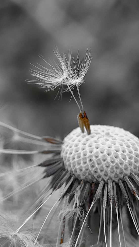 Photograph by Наталья Лищинская