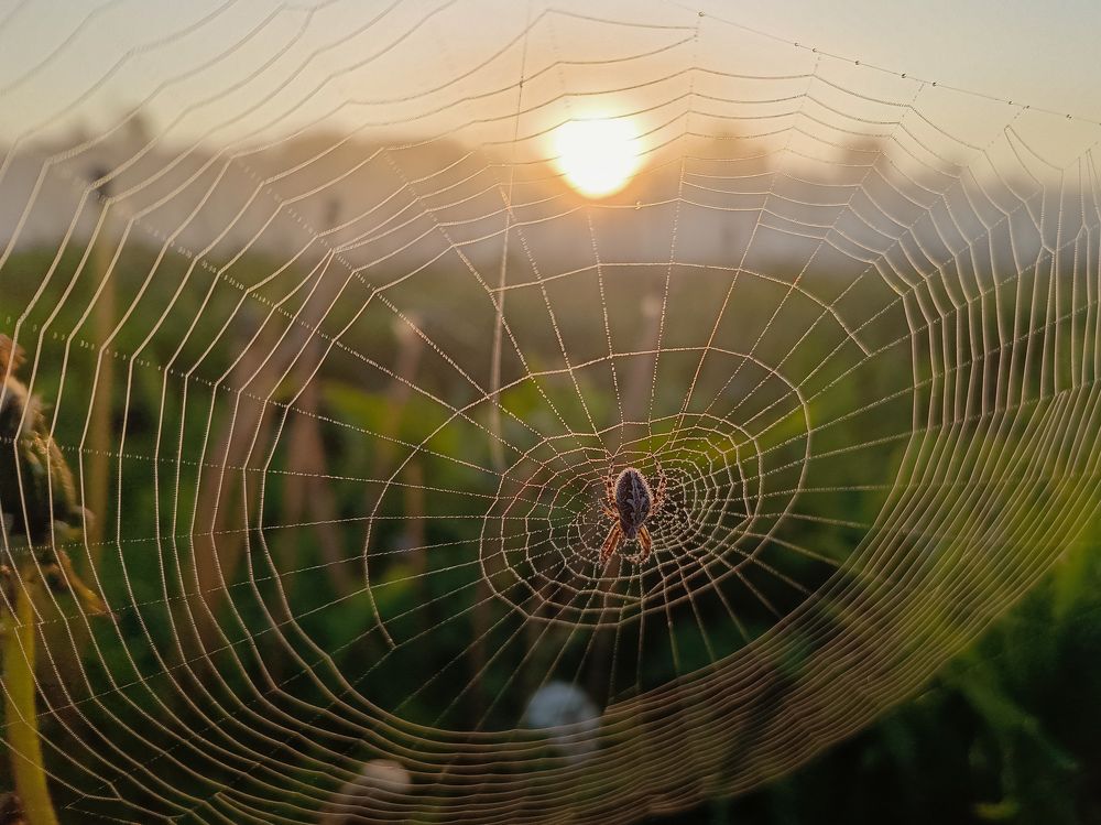 Photograph by Кондрашова Светлана