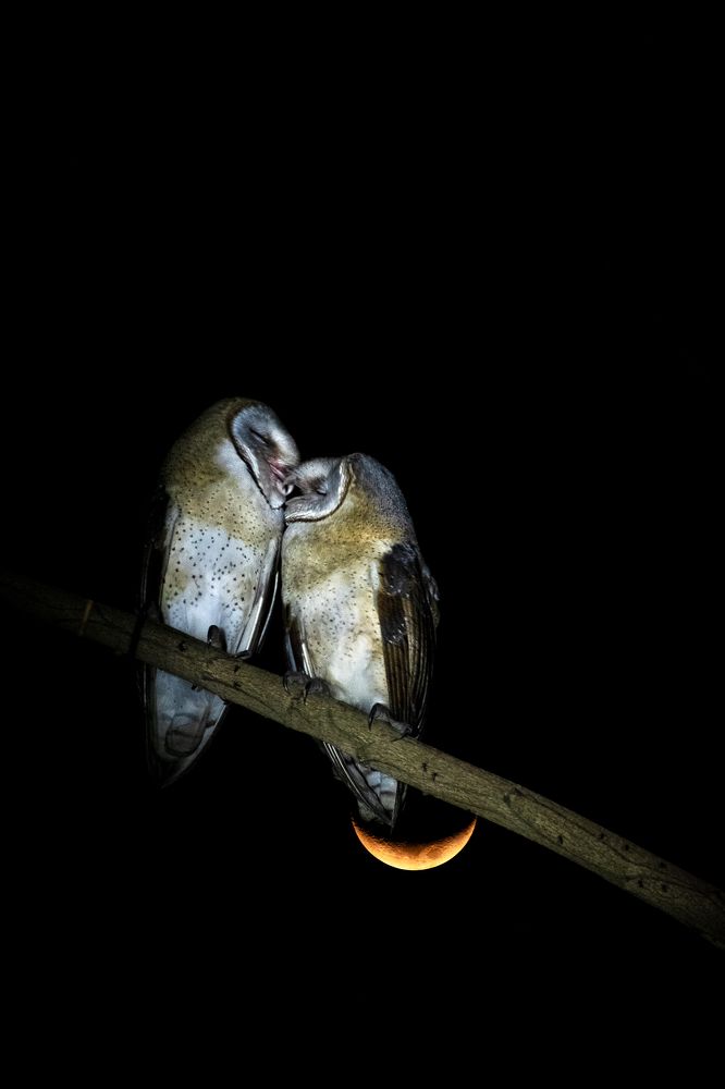 Photograph by Saikat Biswas