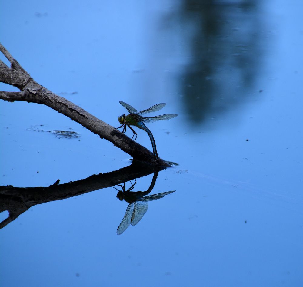 Photograph by Екатерина Крючкова