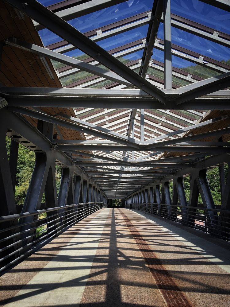 Photograph by Sergei Komlev