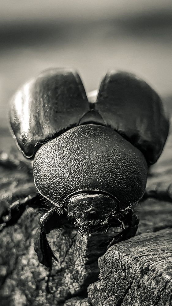 Photograph by Кристина Дугина