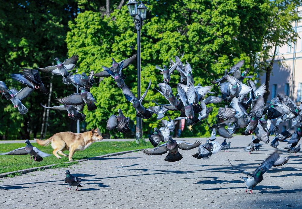 Photograph by Надежда Сайгашкина