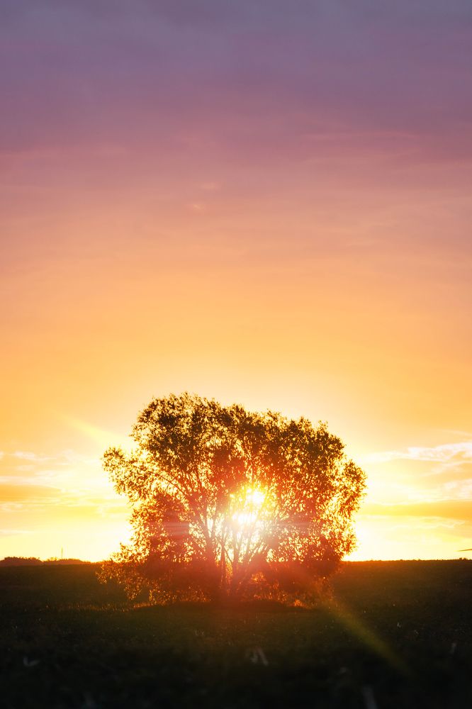 Фотография автора Олег Старосельцев