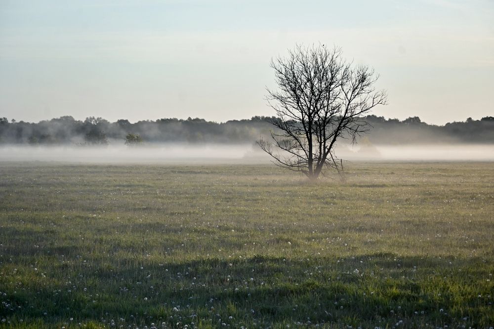 Photograph by Alexandr