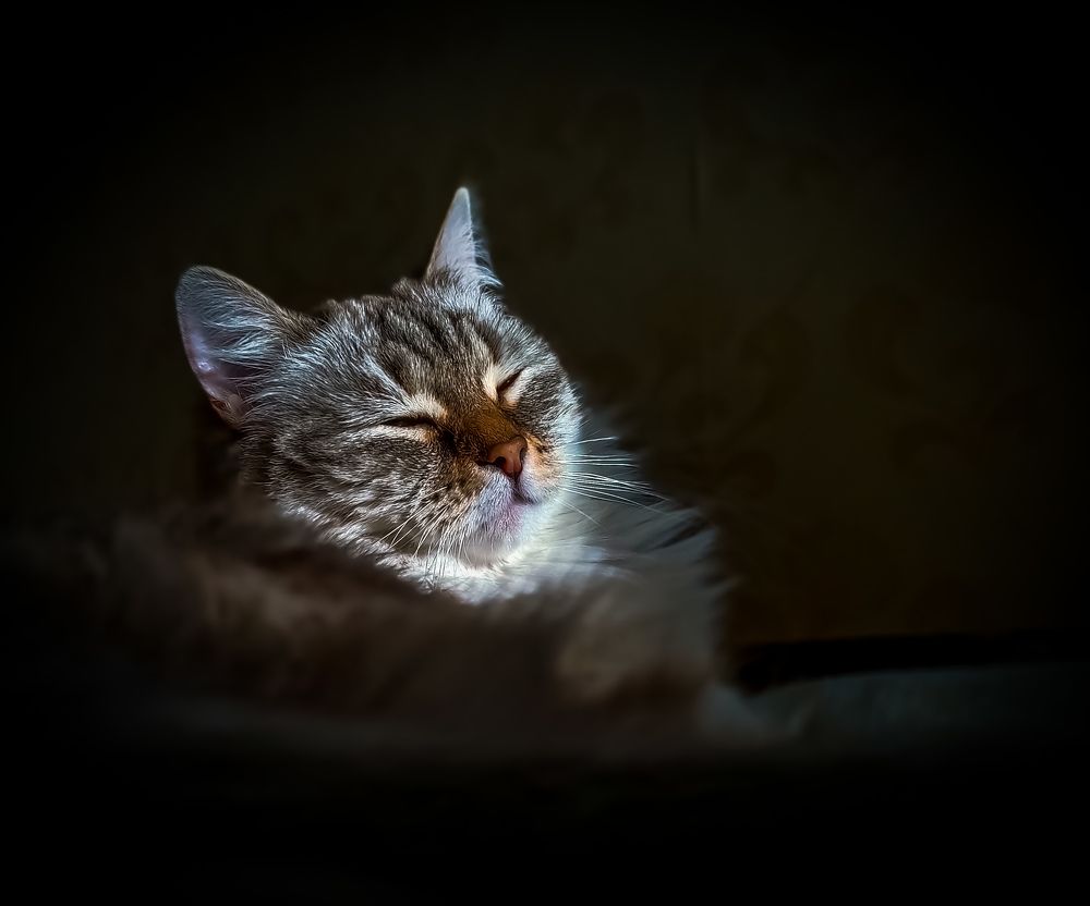 Фотография автора Olga Shchetinina