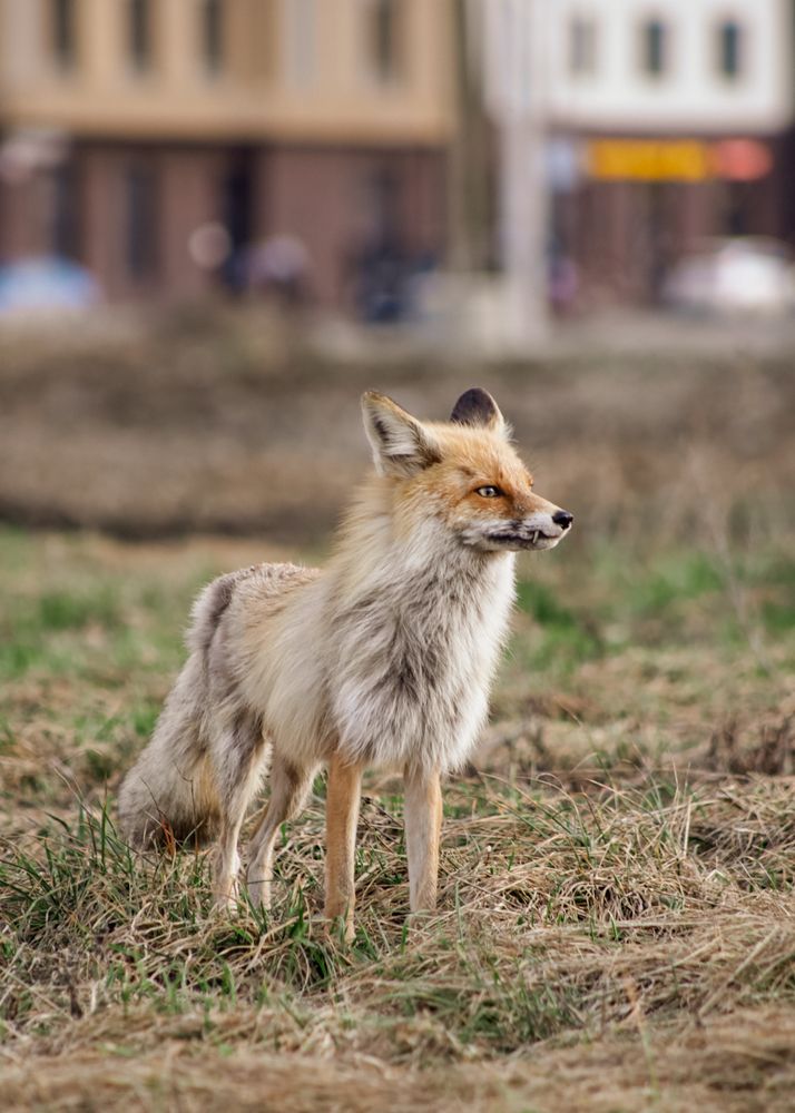 Photograph by Анна Зенкина