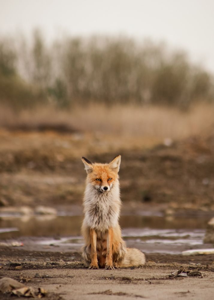 Photograph by Анна Зенкина