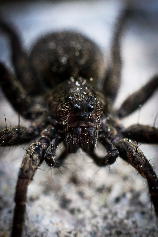 Photograph by Анна Зенкина