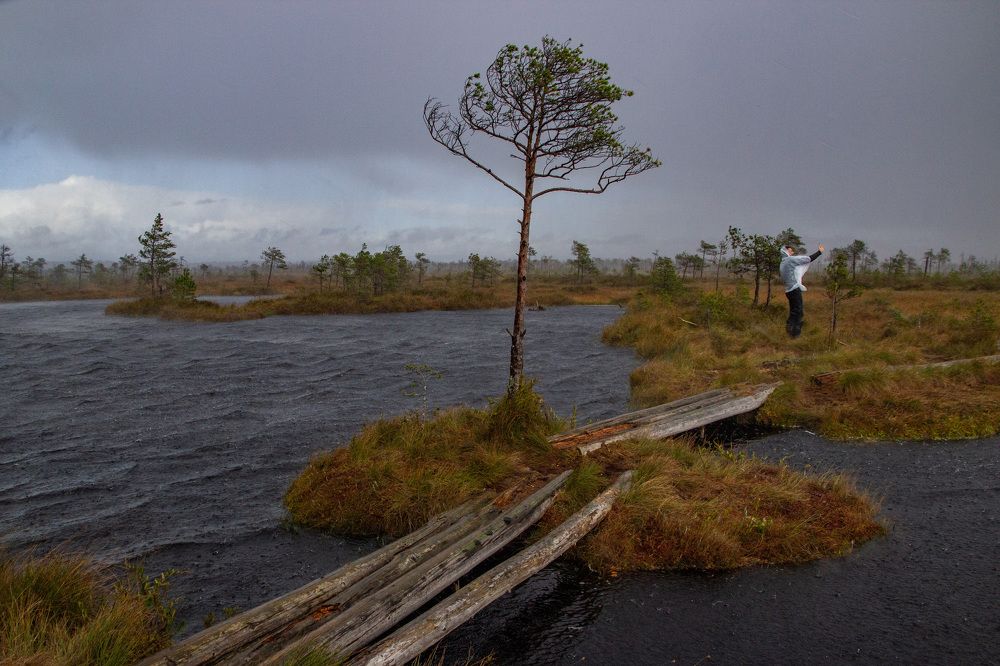 Photograph by Алексей Борисов