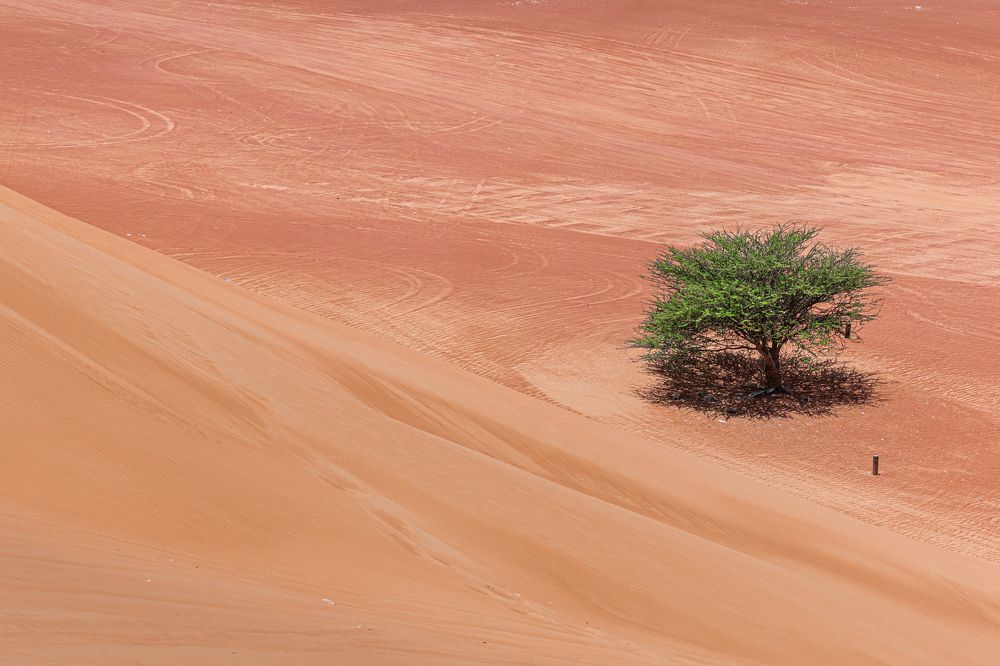 Photograph by Елена Захарова