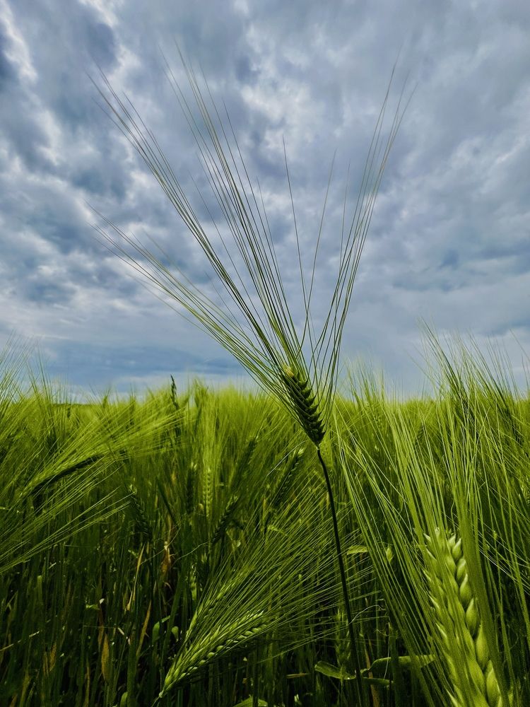 Photograph by Олеся Королева