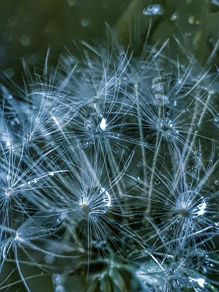 Photograph by Ольга Хромова