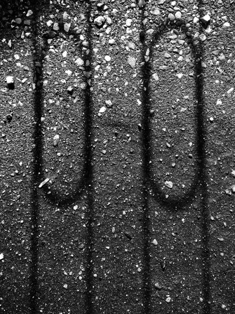 Photograph by Ekaterina Fadeeva