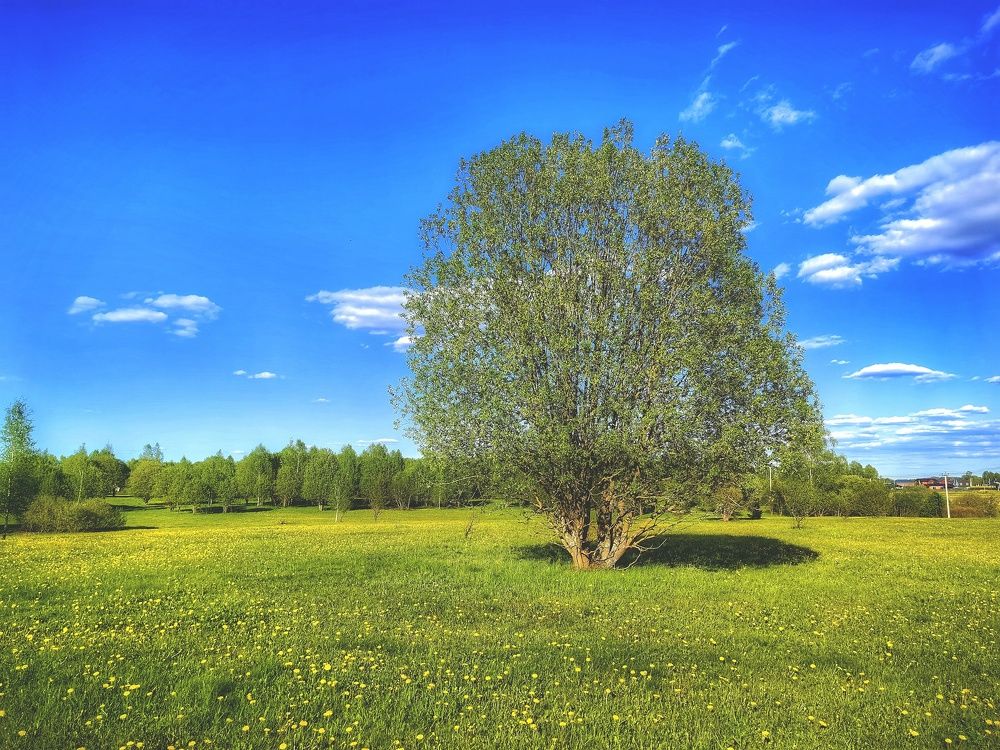 Photograph by Ekaterina Fadeeva