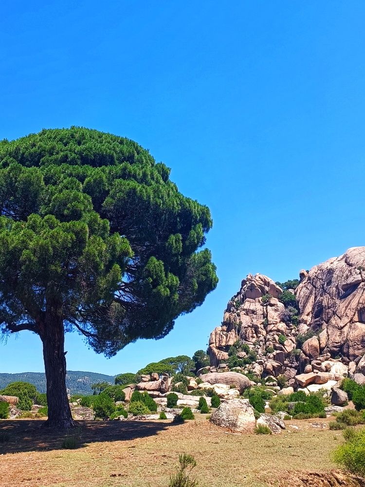 Photograph by Татьяна Шевелева