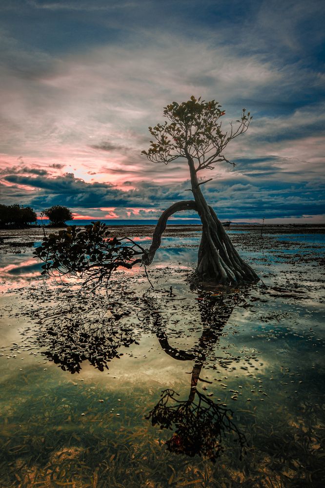 Photograph by Yafet Prayogo