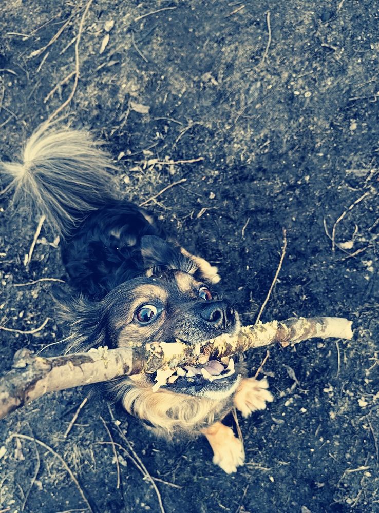 Photograph by Сергей Гриднев