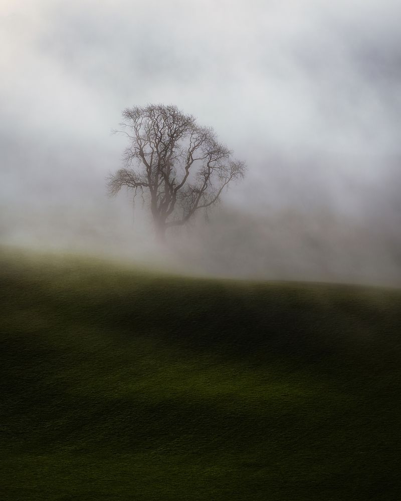 Фотография автора Kanstantsin Markevich