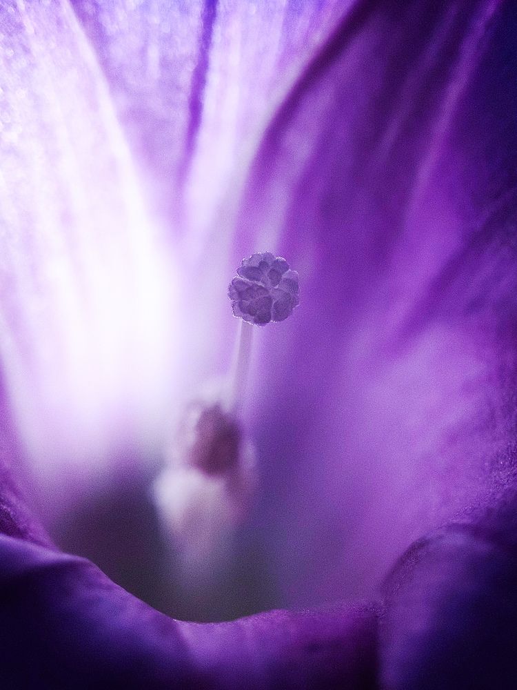 Фотография автора Thomas Engida