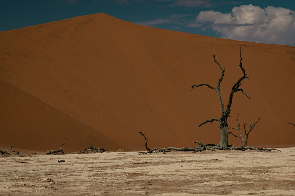 Photograph by Кирилл Мазазолин