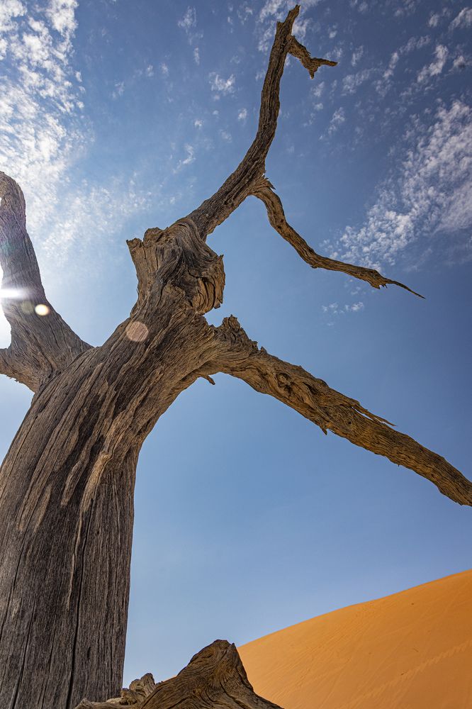 Photograph by Кирилл Мазазолин