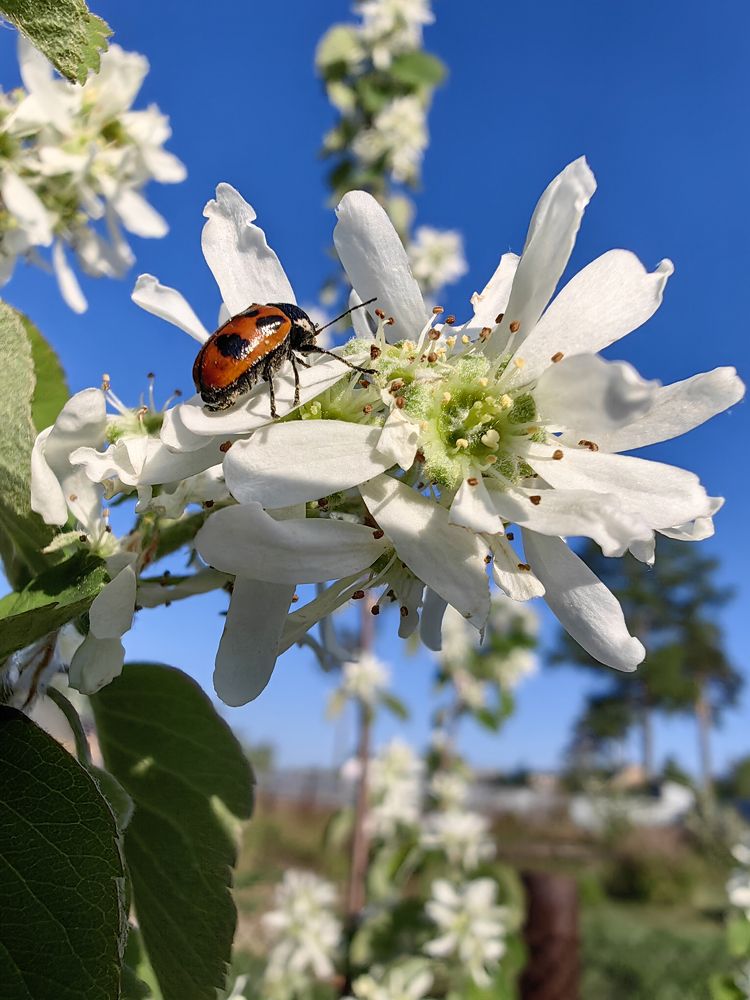 Photograph by Людмила Савчук