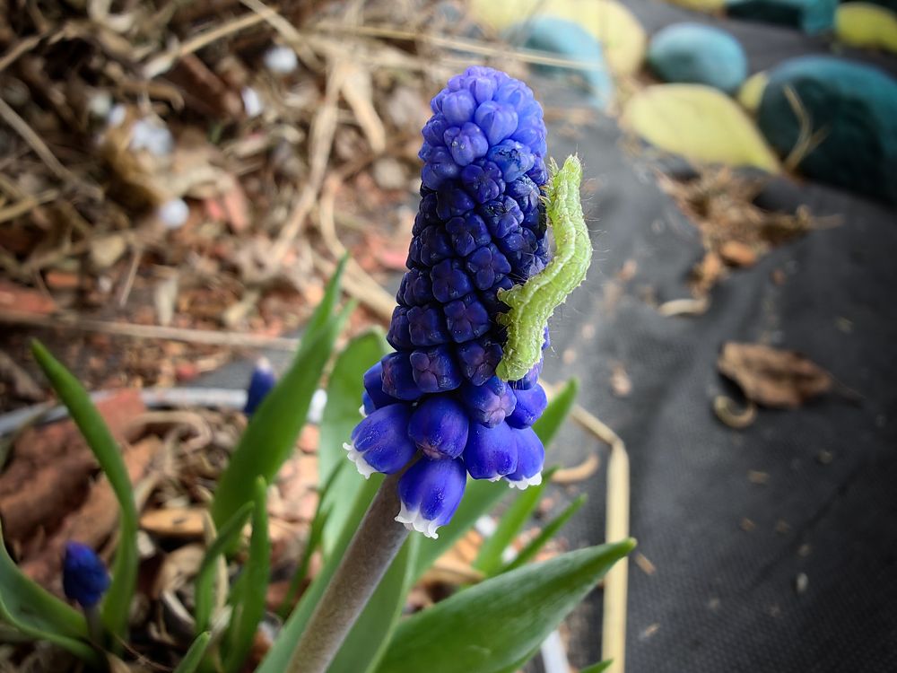 Photograph by Людмила Савчук