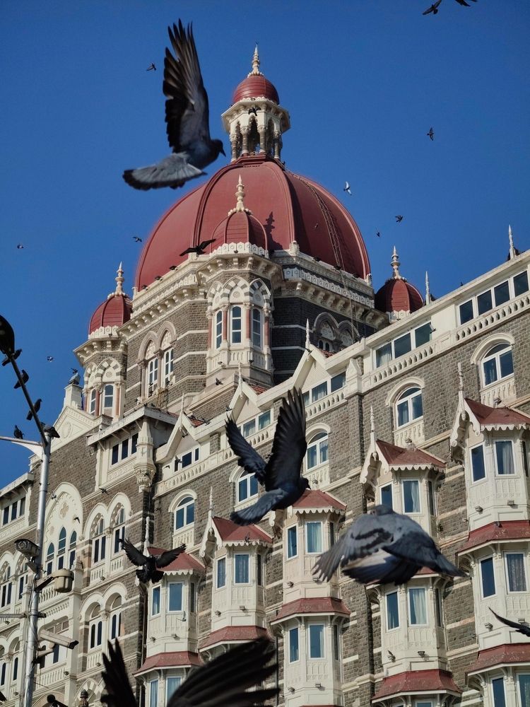 Photograph by Antisha Thakur