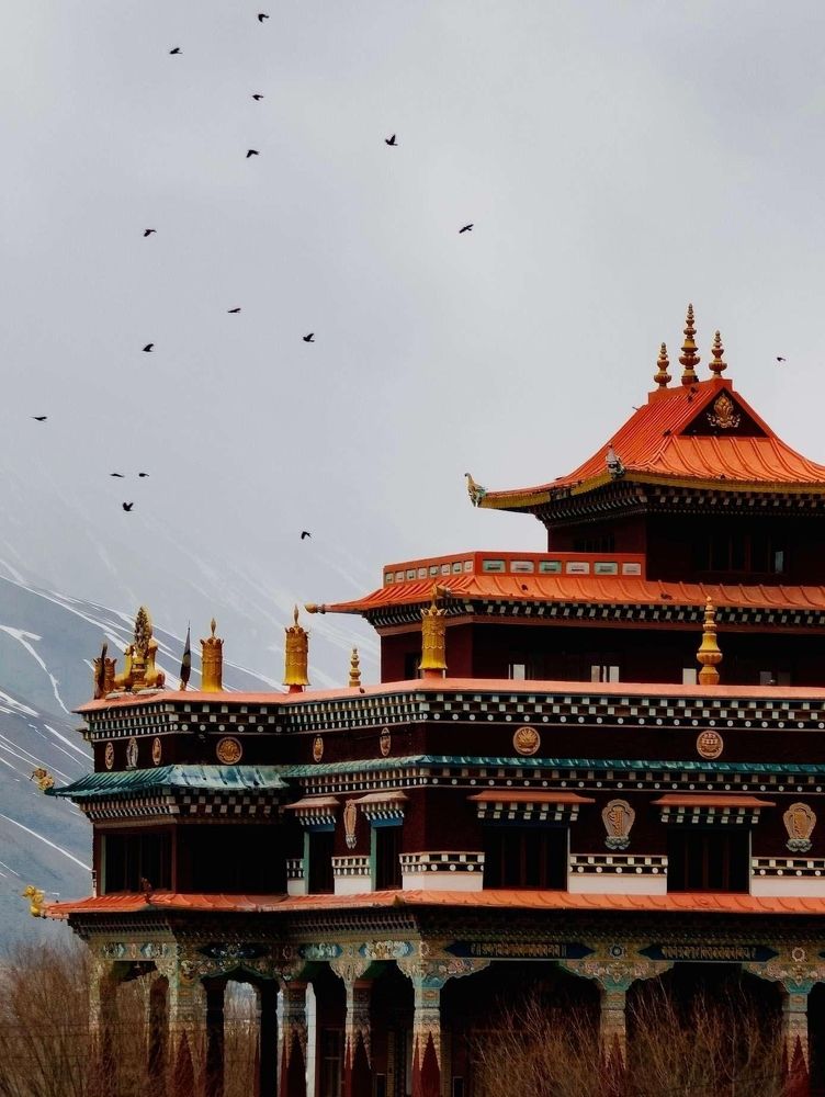 Photograph by Antisha Thakur