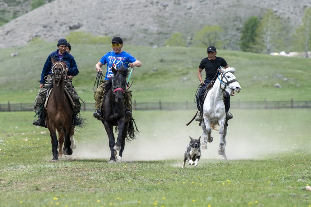 Photograph by Сергей Шерстнев