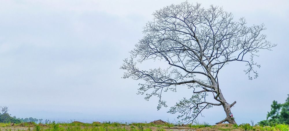 Фотография автора Dipayan Debbarma