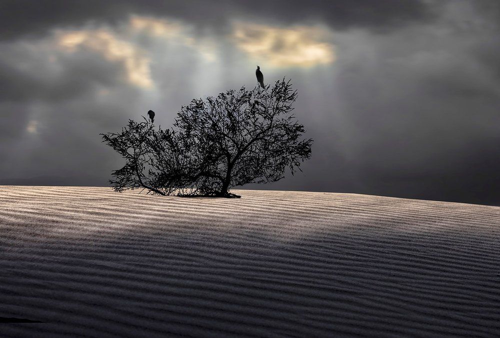 Photograph by Leonid Lan