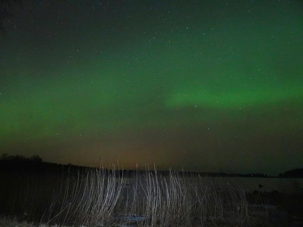 Фотография автора Jevgeni Filimonov