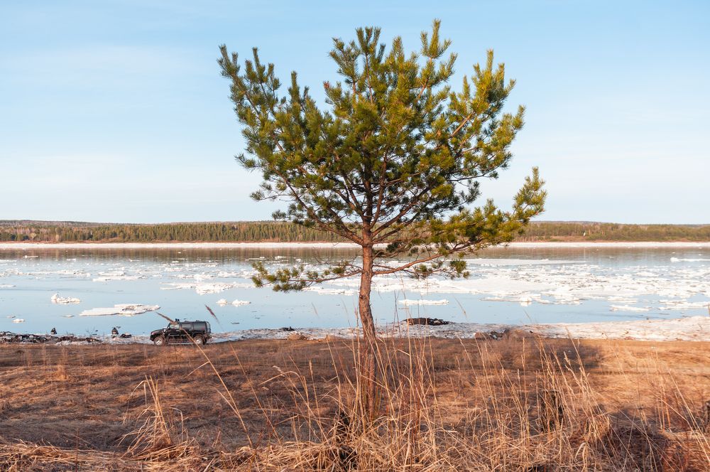 Photograph by Николай Пак