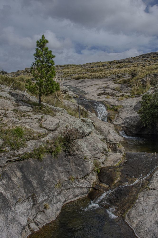 Photograph by Sandra Arena