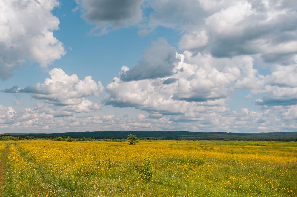 Photograph by Николай Пак