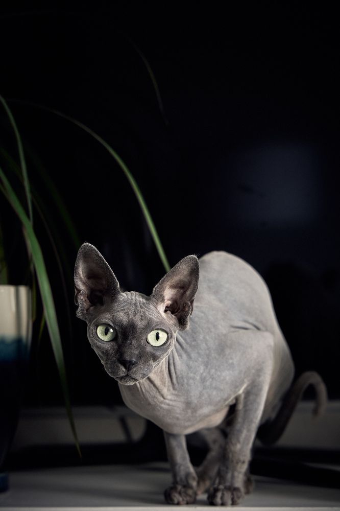 Фотография автора Вострецов Иван