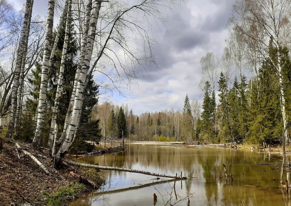 Photograph by Виктор Решетников