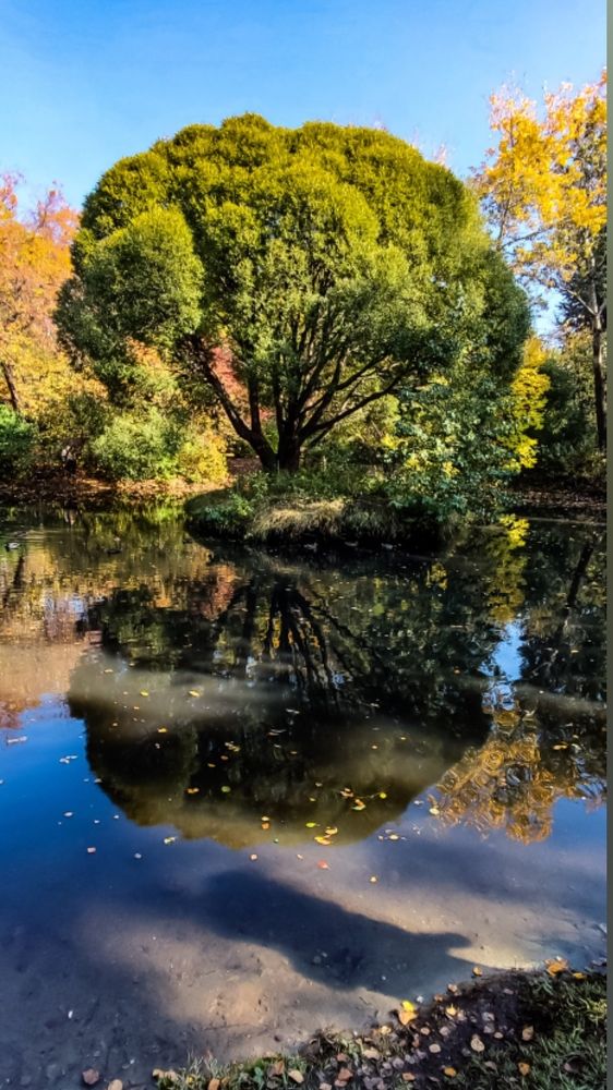 Photograph by Юлия