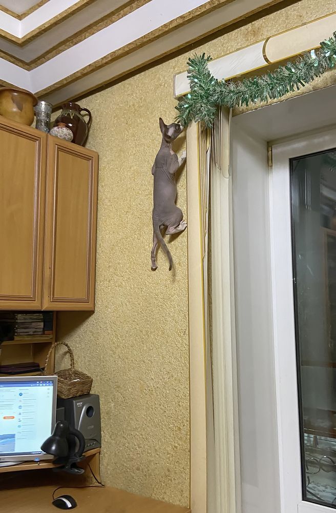 Photograph by Tatyana Fedenkova