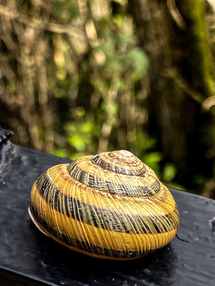 Photograph by Вера Романова