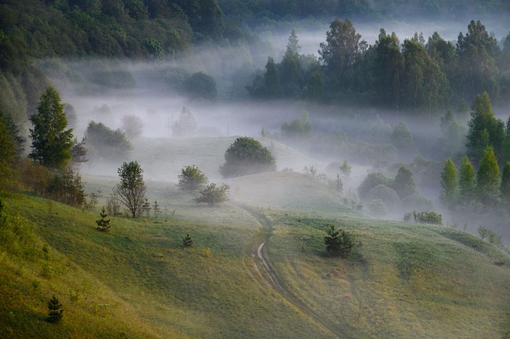 Photograph by Roman Dmitriev