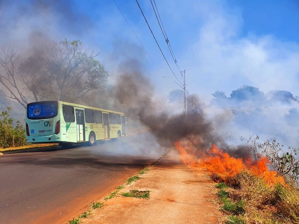 Photograph by Régis Santos