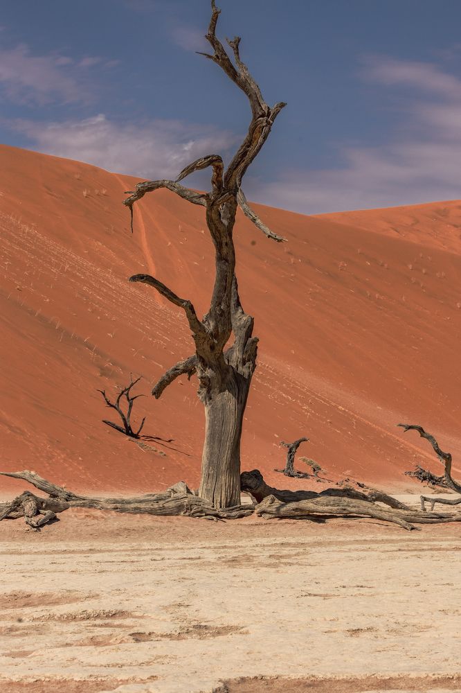 Photograph by Кирилл Мазазолин