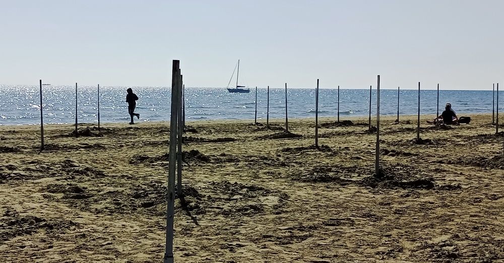 Photograph by Людмила Викулова